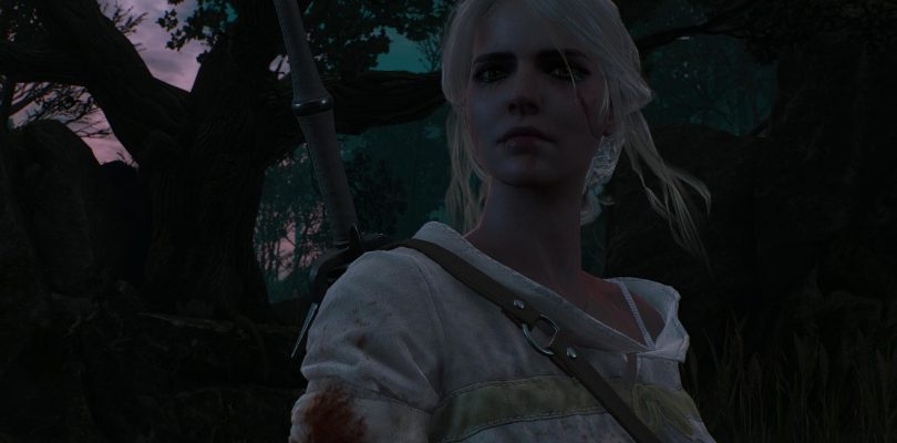 The Witcher 3 – Patch 1.04 steht zum Download bereit