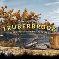 Trüberbrook – Adventure mit Jan Böhmermann startet via Kickstarter