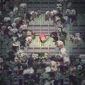 Death Road To Canada kommt bald für die Konsolen PS4, XBox One und Switch