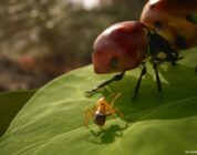 Empire Of The Ants – Update bringt Koop-Modus