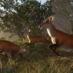 theHunter: Call of the Wild – Neues DLC-Paket kommt Anfang Dezember