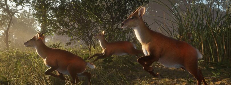 theHunter: Call of the Wild – Neues DLC-Paket kommt Anfang Dezember