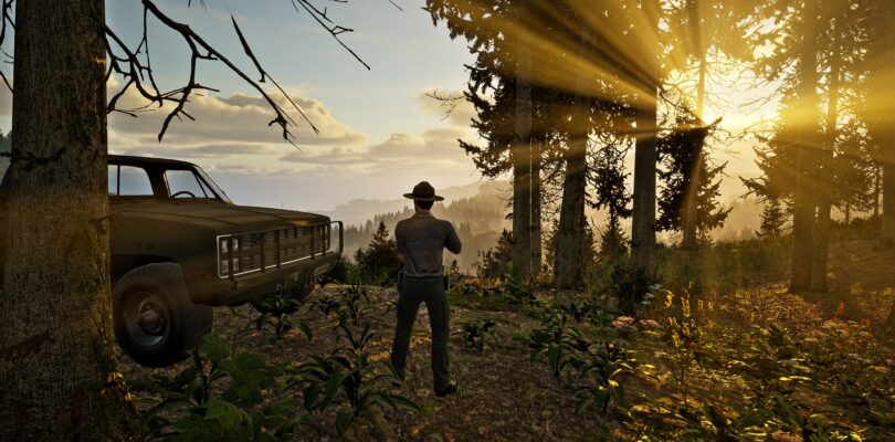 Park Ranger Simulator für PC und Konsolen angekündigt