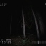 DON’T SCREAM TOGETHER – Koop-Fassung veröffentlicht