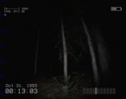 DON’T SCREAM TOGETHER – Koop-Fassung veröffentlicht