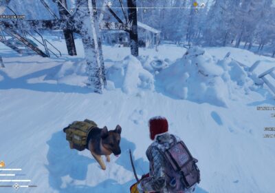 Permafrost im Preview – Ein eisiges Survival-Abenteuer