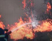 Rescue Ops: Wildfire – Neue Rettungssimulation angekündigt