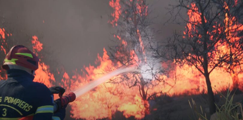Rescue Ops: Wildfire – Neue Rettungssimulation angekündigt