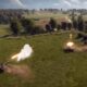 Systemic War – Erster Gameplay-Trailer veröffentlicht