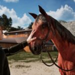 Champions Stable: Equestrian Dynasty – Simulation für Pferdeliebhaber