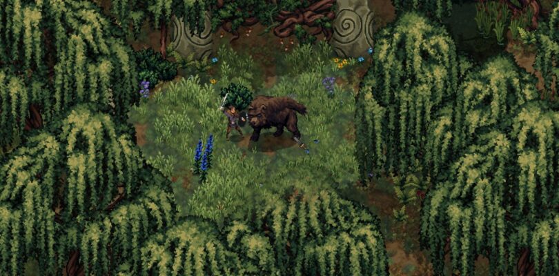 Drova II – Torn Lands – Fortsetzung angekündigt